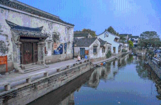 僵尸顶顶乐